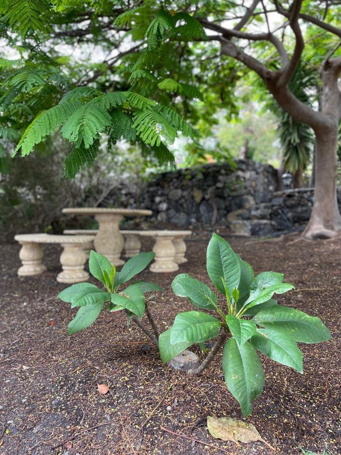 Casa Morera Fuencaliente de la Palma Eksteriør billede